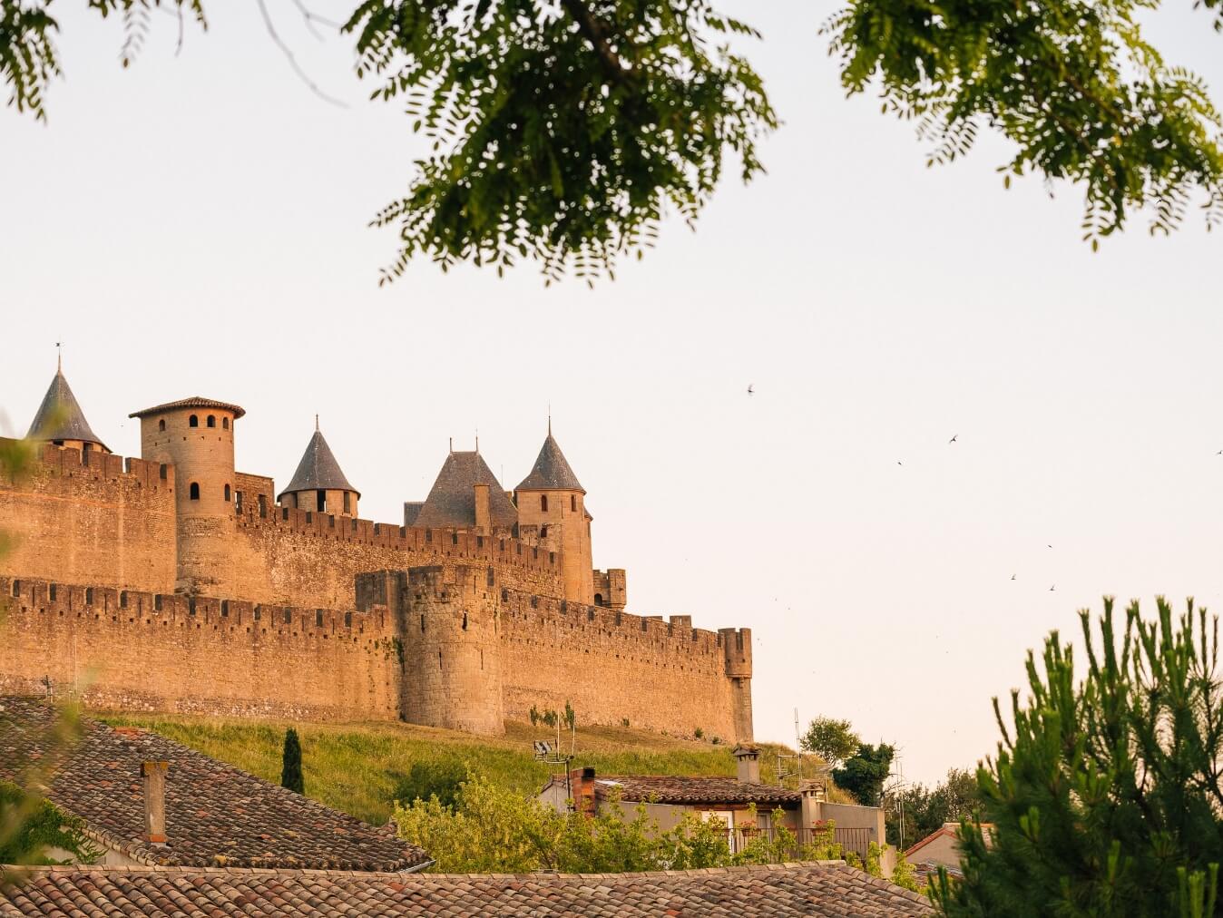 vins blancs du languedoc