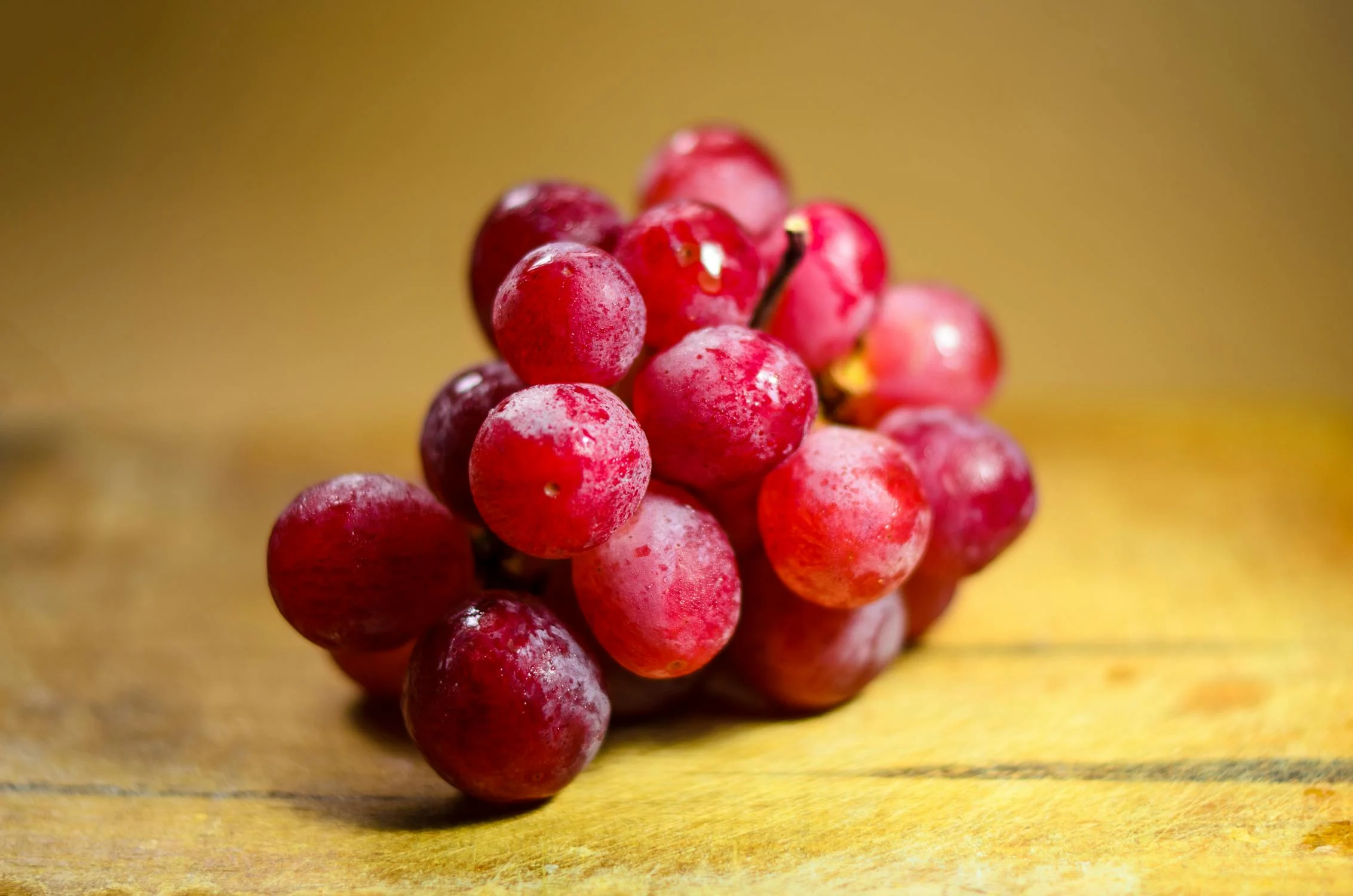 Corbières rouges