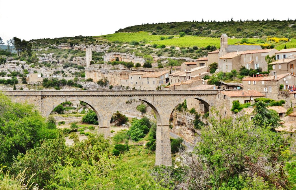 L’AOC Minervois, trésor viticole entre montagne et Méditerranée